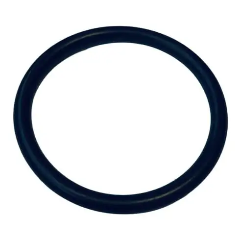 Wilo pièce mécanique de rechange joint torique Id.69,44X3,53 VP